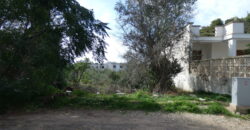 TERRENO EDIFICABILE PANORAMICO 500 M DAL MARE PORTO CESAREO