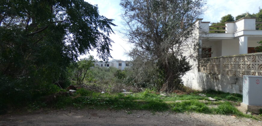 TERRENO EDIFICABILE PANORAMICO 500 M DAL MARE PORTO CESAREO