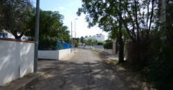 TERRENO EDIFICABILE PANORAMICO 500 M DAL MARE PORTO CESAREO
