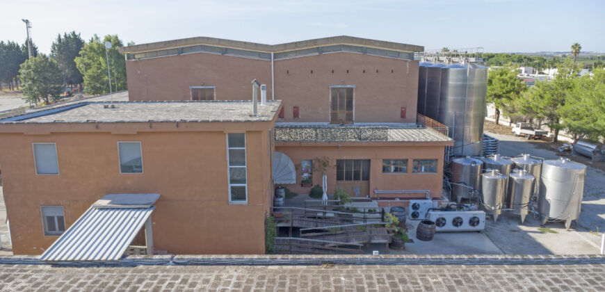 Storica Cantina Vinicola a Guagnano – Opportunità Wine Resort o Sviluppo Immobiliare