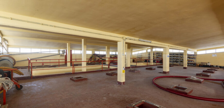 Storica Cantina Vinicola a Guagnano – Opportunità Wine Resort o Sviluppo Immobiliare