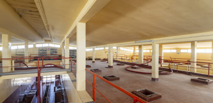 Storica Cantina Vinicola a Guagnano – Opportunità Wine Resort o Sviluppo Immobiliare