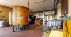 Storica Cantina Vinicola a Guagnano – Opportunità Wine Resort o Sviluppo Immobiliare