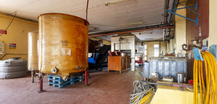 Storica Cantina Vinicola a Guagnano – Opportunità Wine Resort o Sviluppo Immobiliare