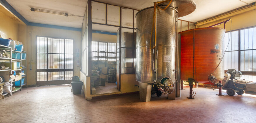 Storica Cantina Vinicola a Guagnano – Opportunità Wine Resort o Sviluppo Immobiliare