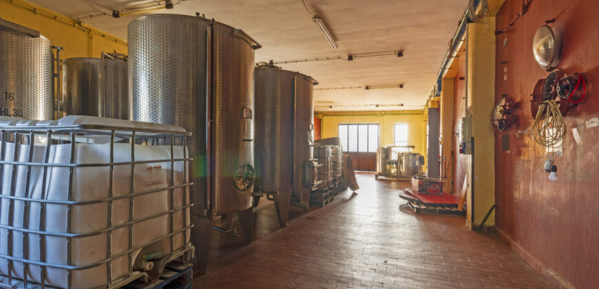 Storica Cantina Vinicola a Guagnano – Opportunità Wine Resort o Sviluppo Immobiliare
