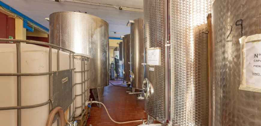 Storica Cantina Vinicola a Guagnano – Opportunità Wine Resort o Sviluppo Immobiliare